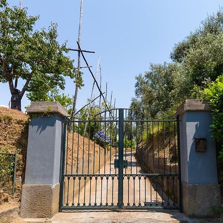 Villa Ada Соренто Екстериор снимка