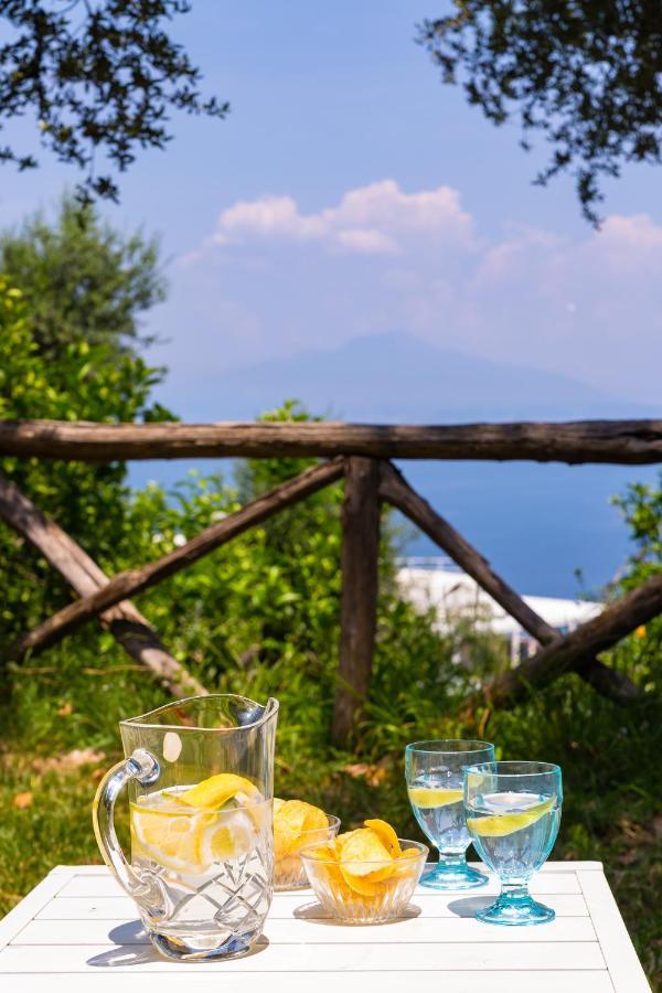 Villa Ada Соренто Екстериор снимка