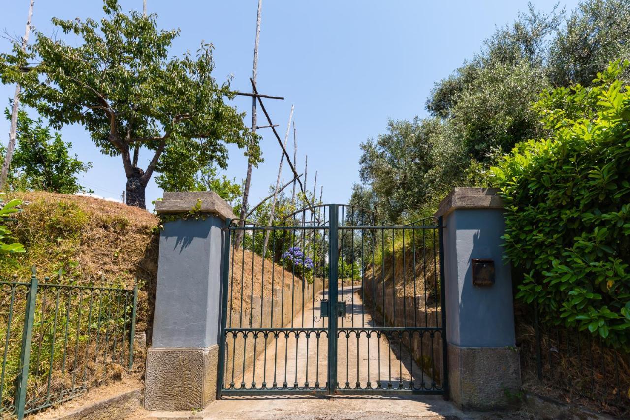 Villa Ada Соренто Екстериор снимка